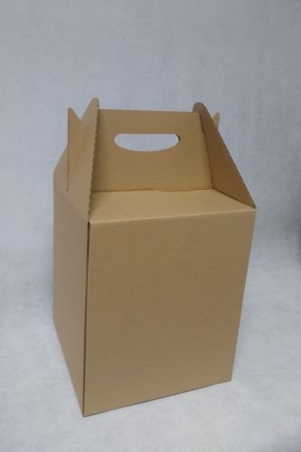 Box with handle, package, 250x250x300 mm, 500szt