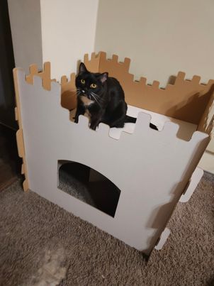 Zamek dla kota, domek